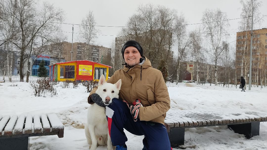 Лобня, города