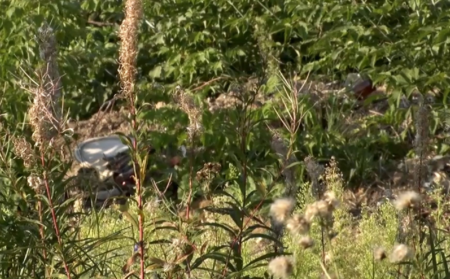 Клин, перемены, благоустройство, народные тропы