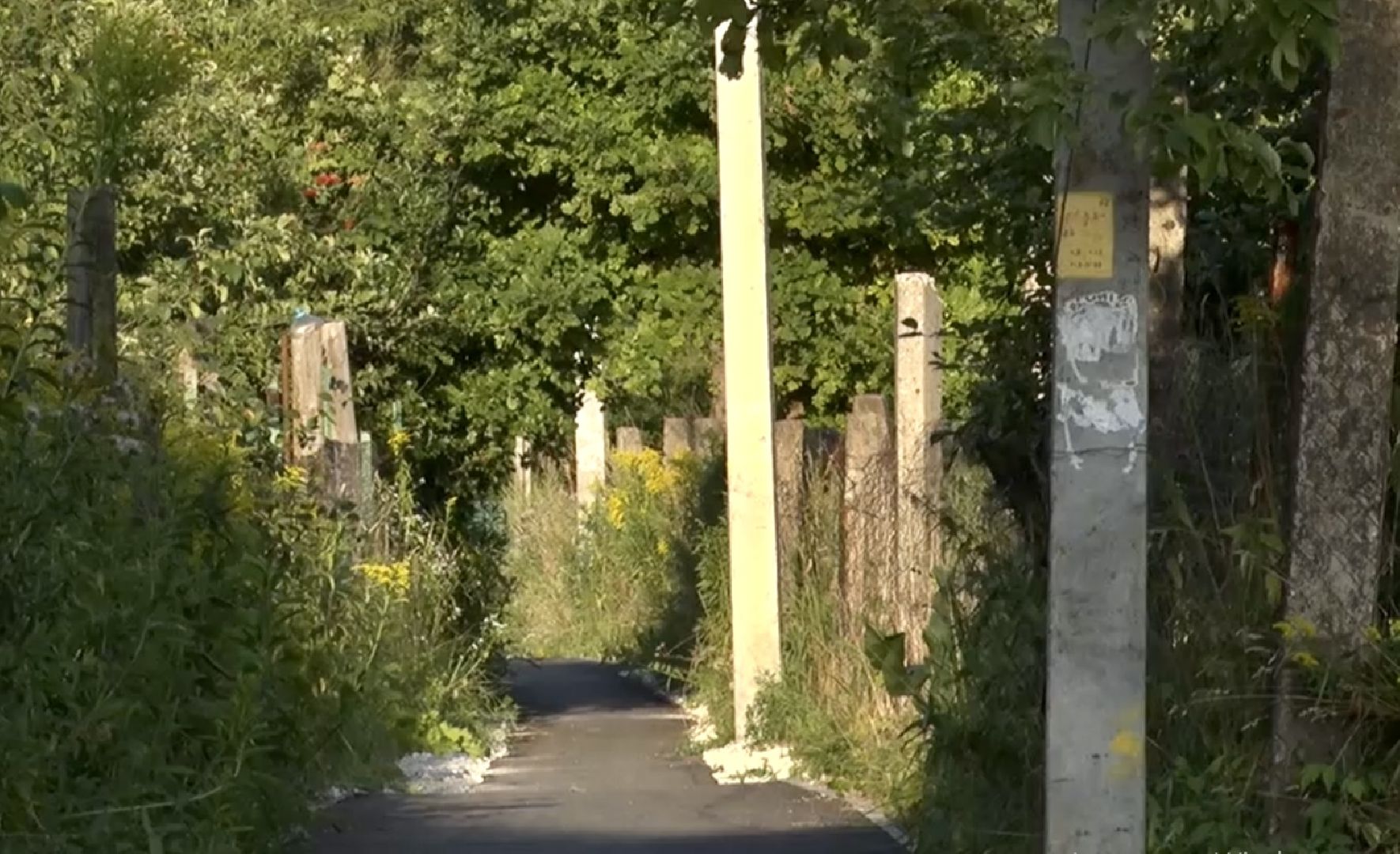 Клин, перемены, благоустройство, народные тропы