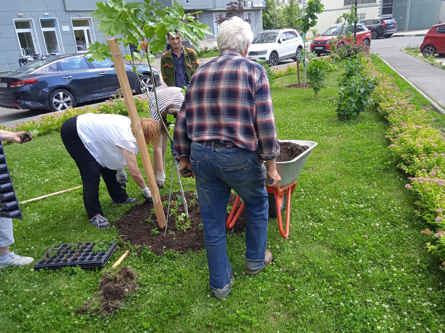 Город-сад, Парк-сити, цветы, волонтёры, посадка