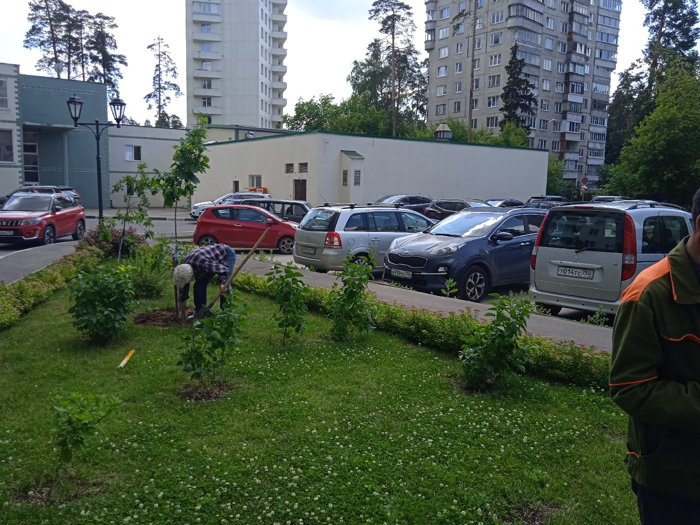 Город-сад, Парк-сити, цветы, волонтёры, посадка