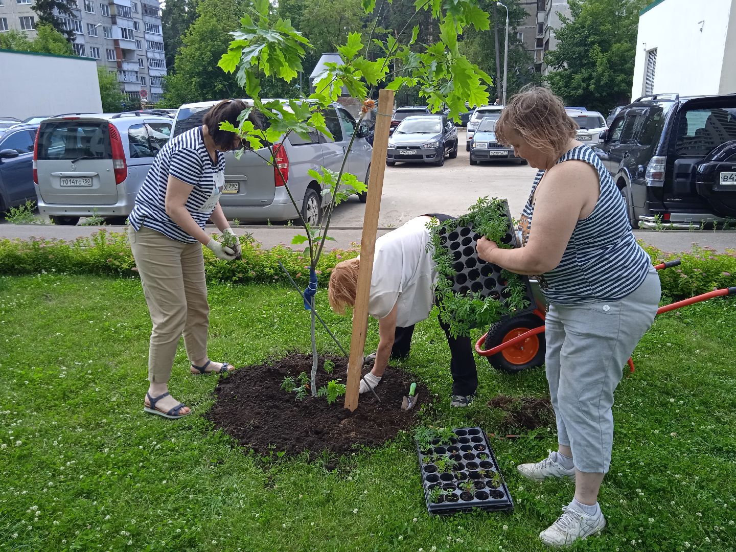 Город-сад, Парк-сити, цветы, волонтёры, посадка