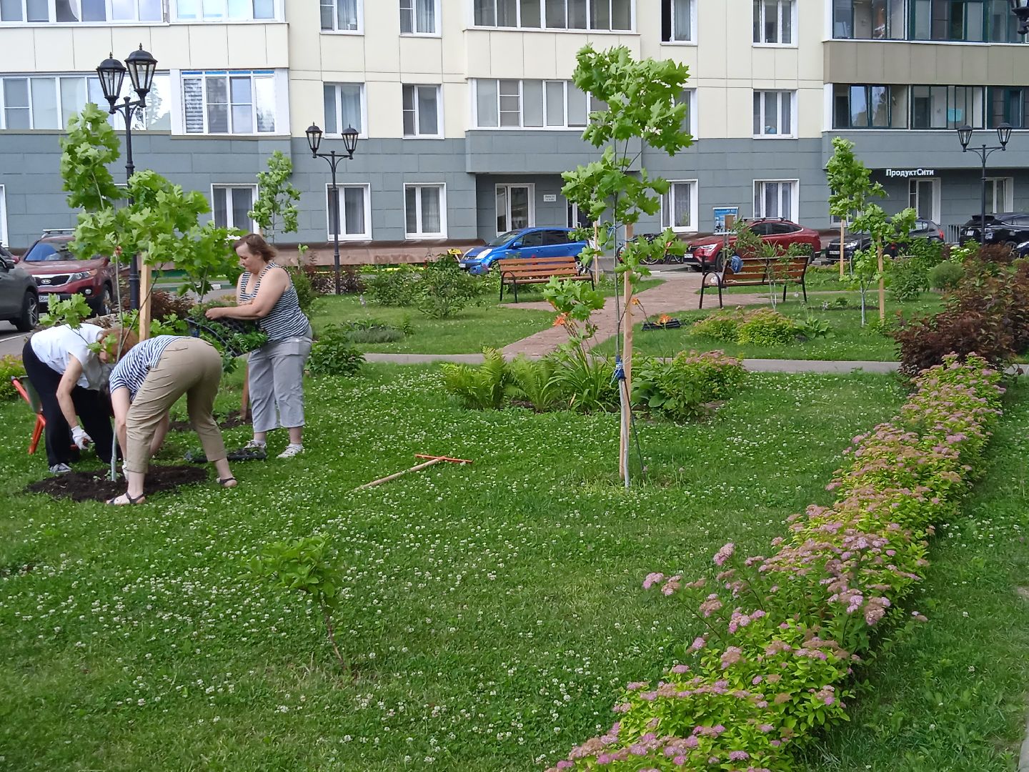 Город-сад, Парк-сити, цветы, волонтёры, посадка