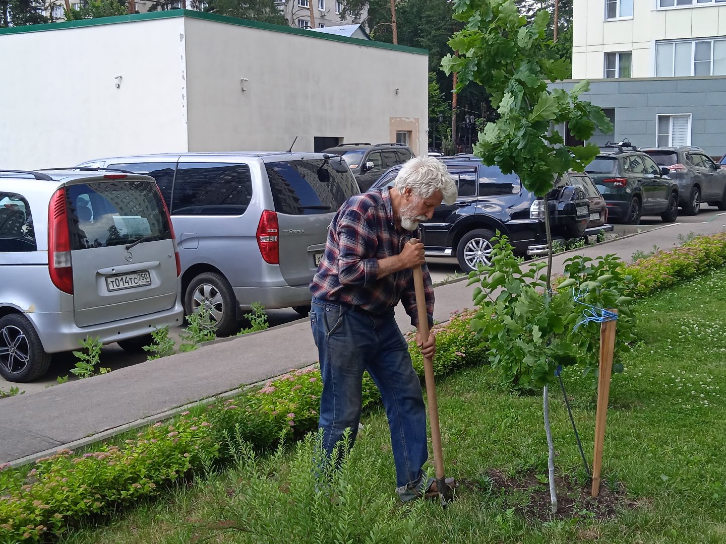 Город-сад, Парк-сити, цветы, волонтёры, посадка