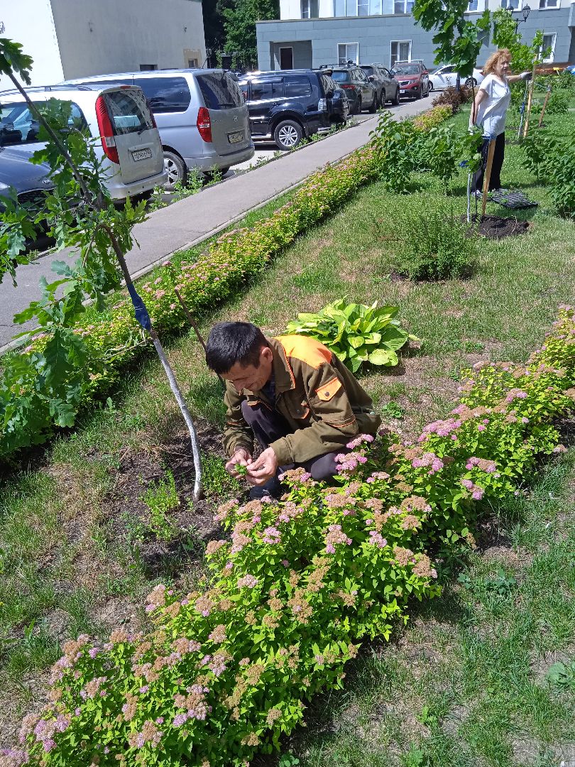 Город-сад, Парк-сити, цветы, волонтёры, посадка