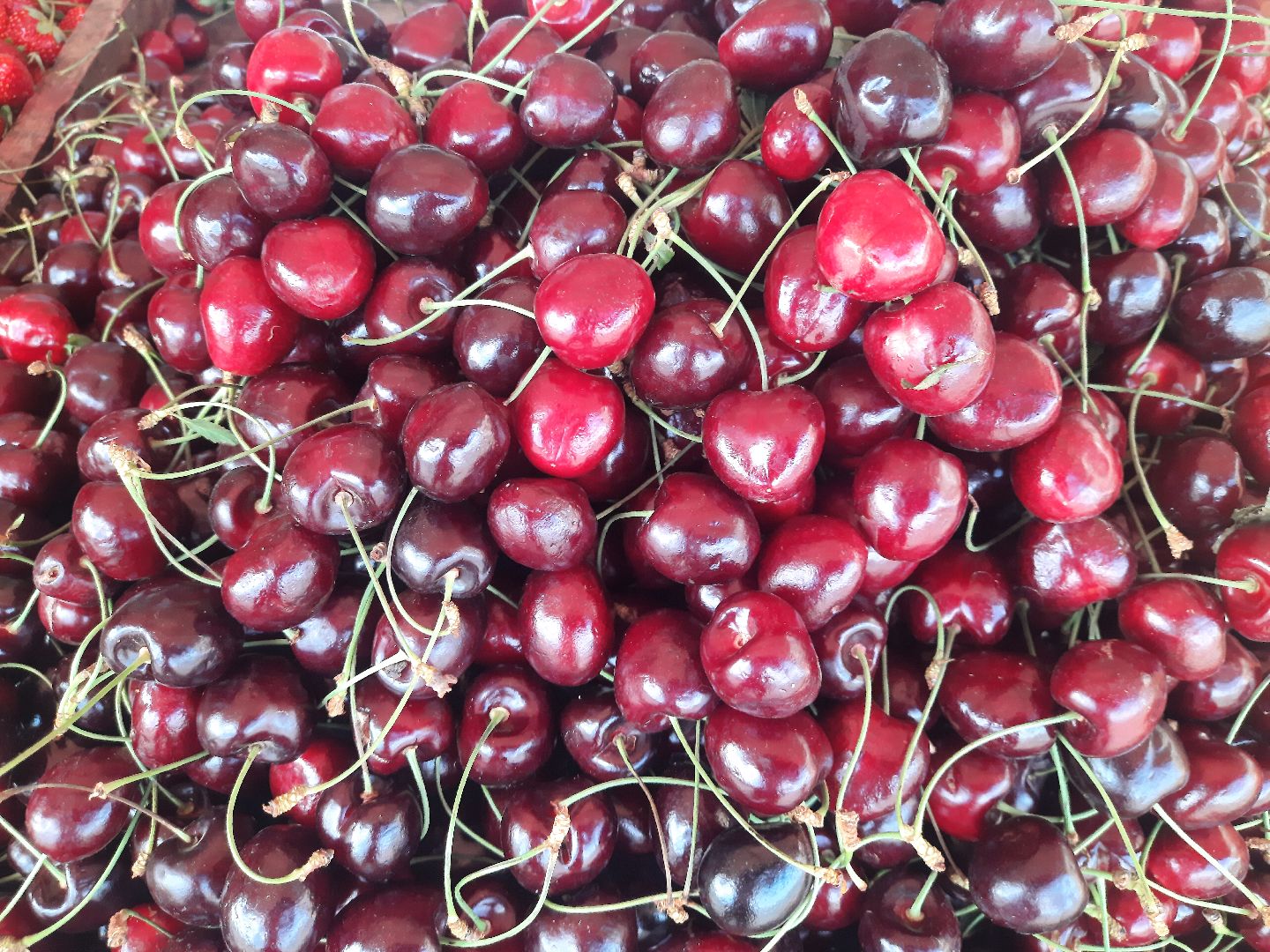 #шатура, #уличная_торговля, #фрукты, #палатки