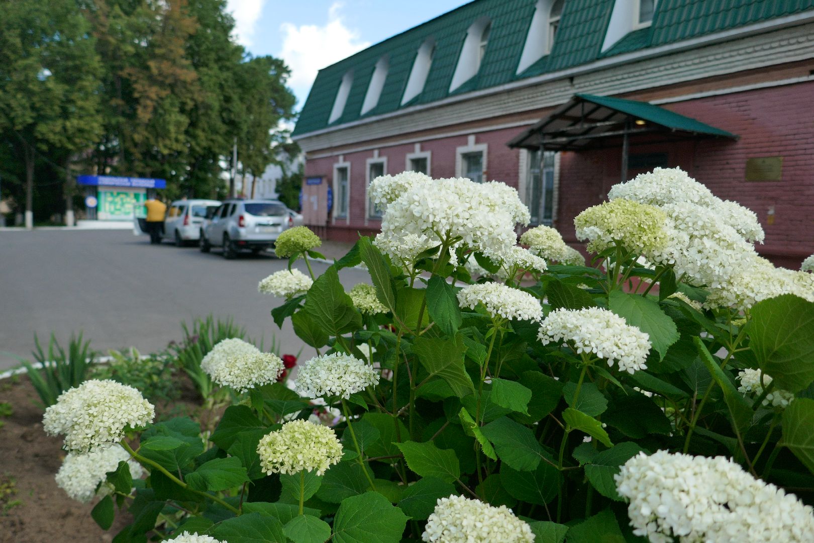 Подольск, медицина, нейрохирург, здоровье, операция