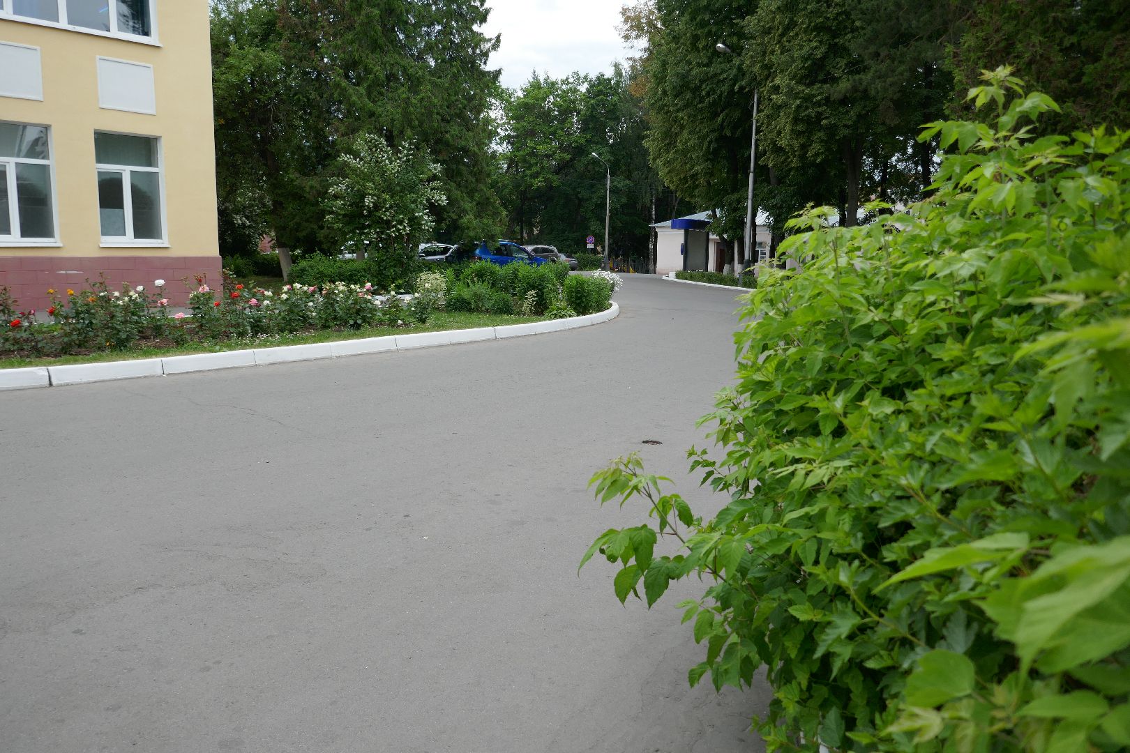 Подольск, медицина, нейрохирург, здоровье, операция