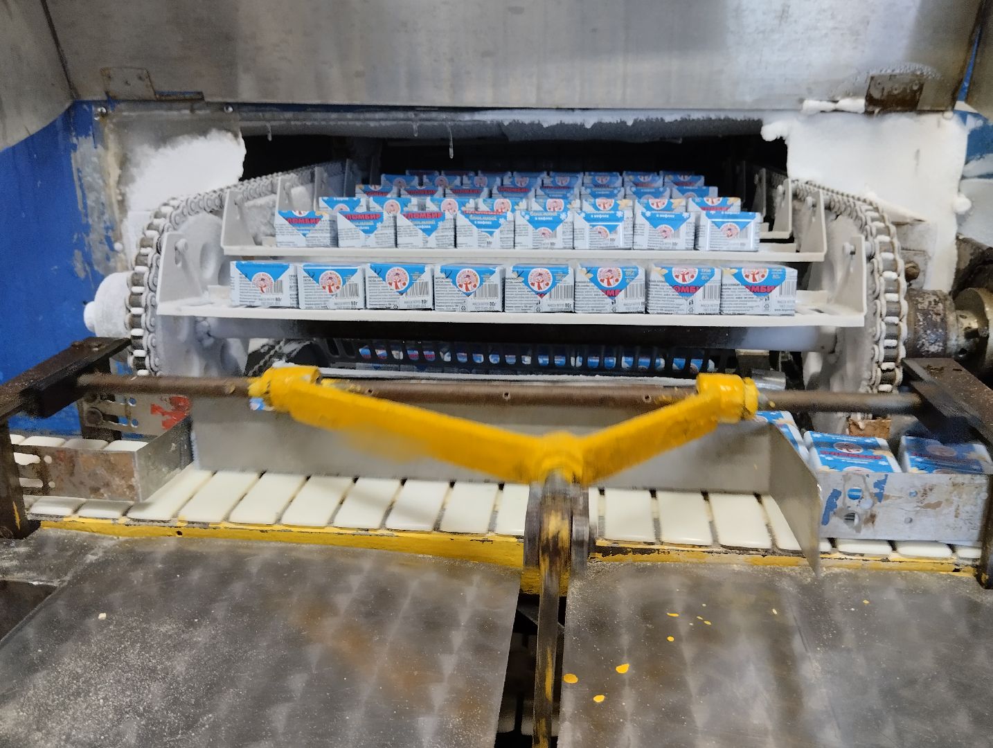 Мороженое, хладокомбинат, производство, Ногинск, Богородский городской округ