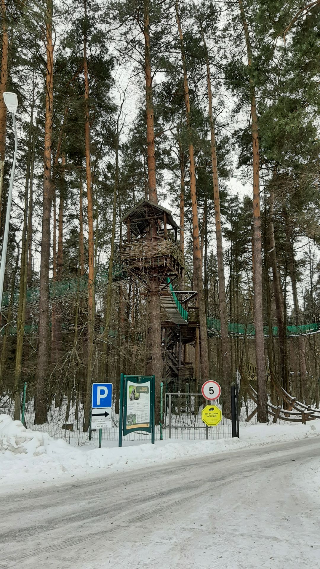 Зима в Подмосковье, Серпухов, заповедник