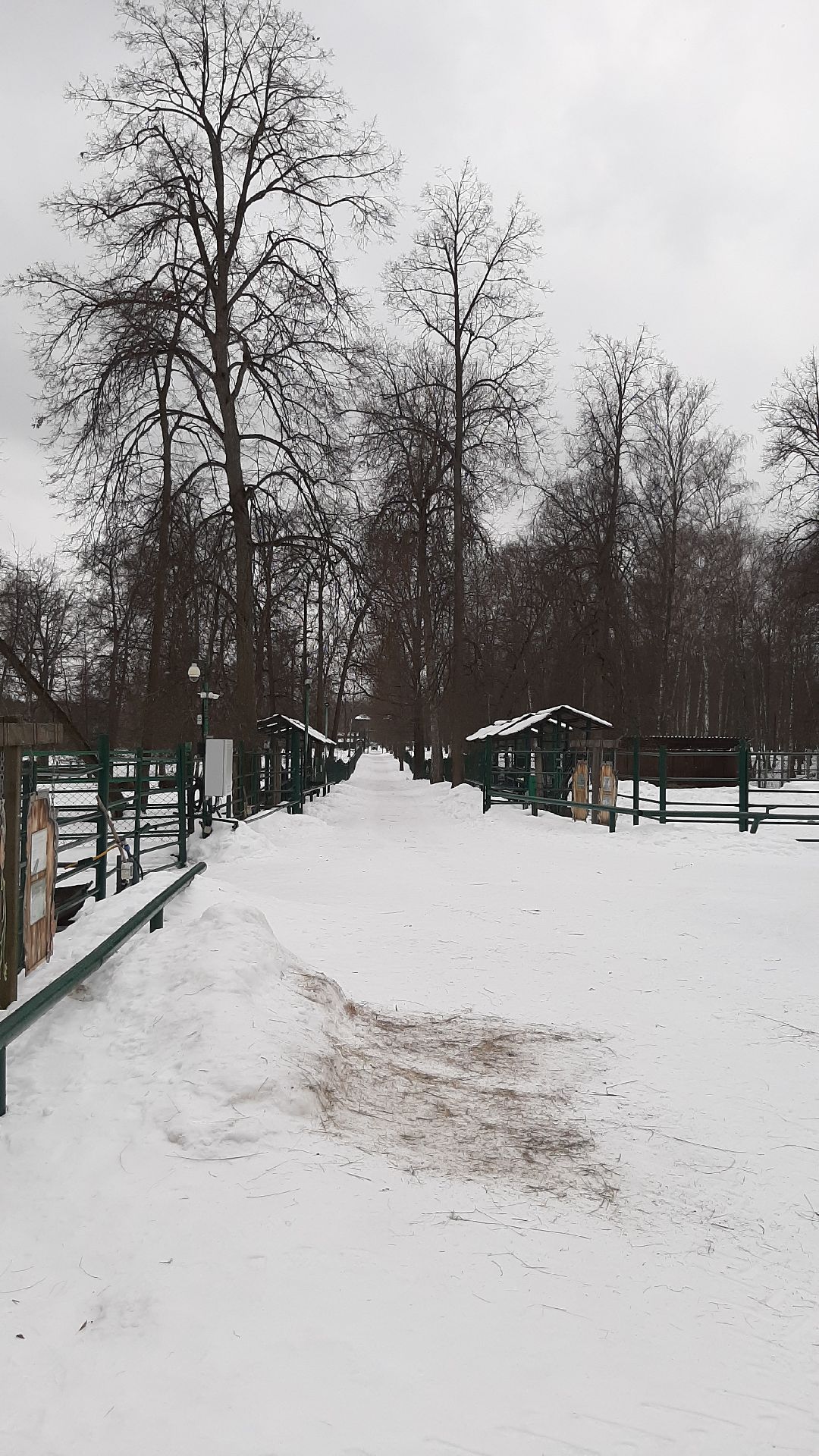 Зима в Подмосковье, Серпухов, заповедник