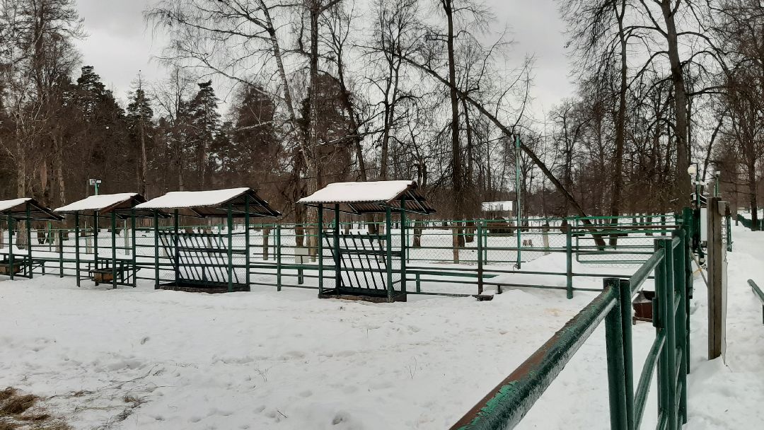 Зима в Подмосковье, Серпухов, заповедник