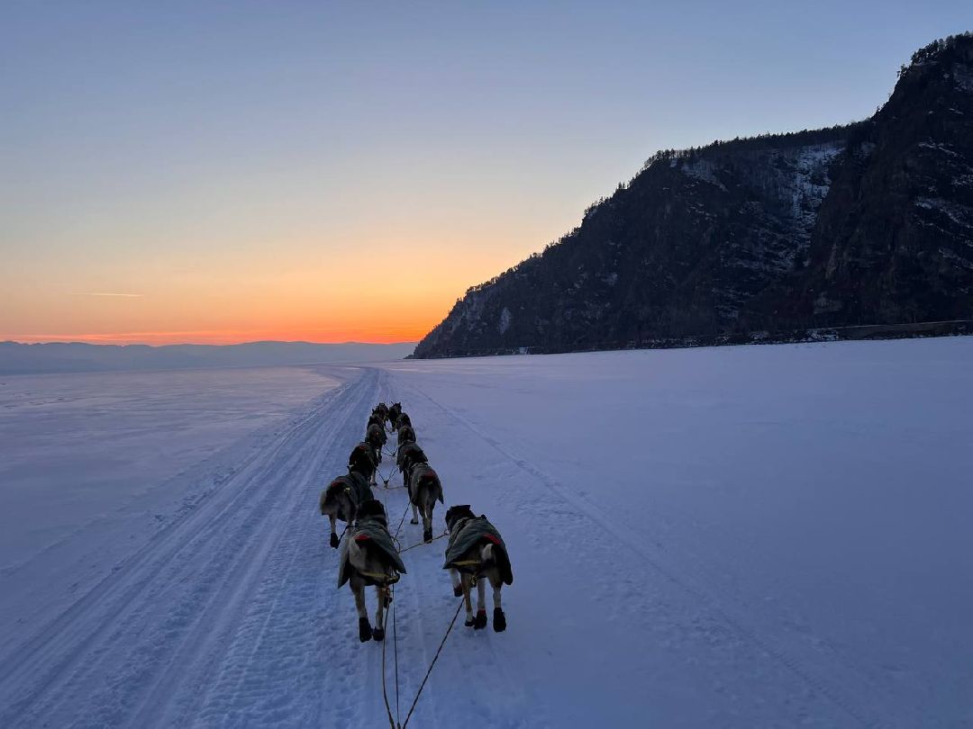 Подмосковье, Собаки, ГонкиНаСобачьихУпряжках, Можайск, Каюр, Байкал, БайкалРейс