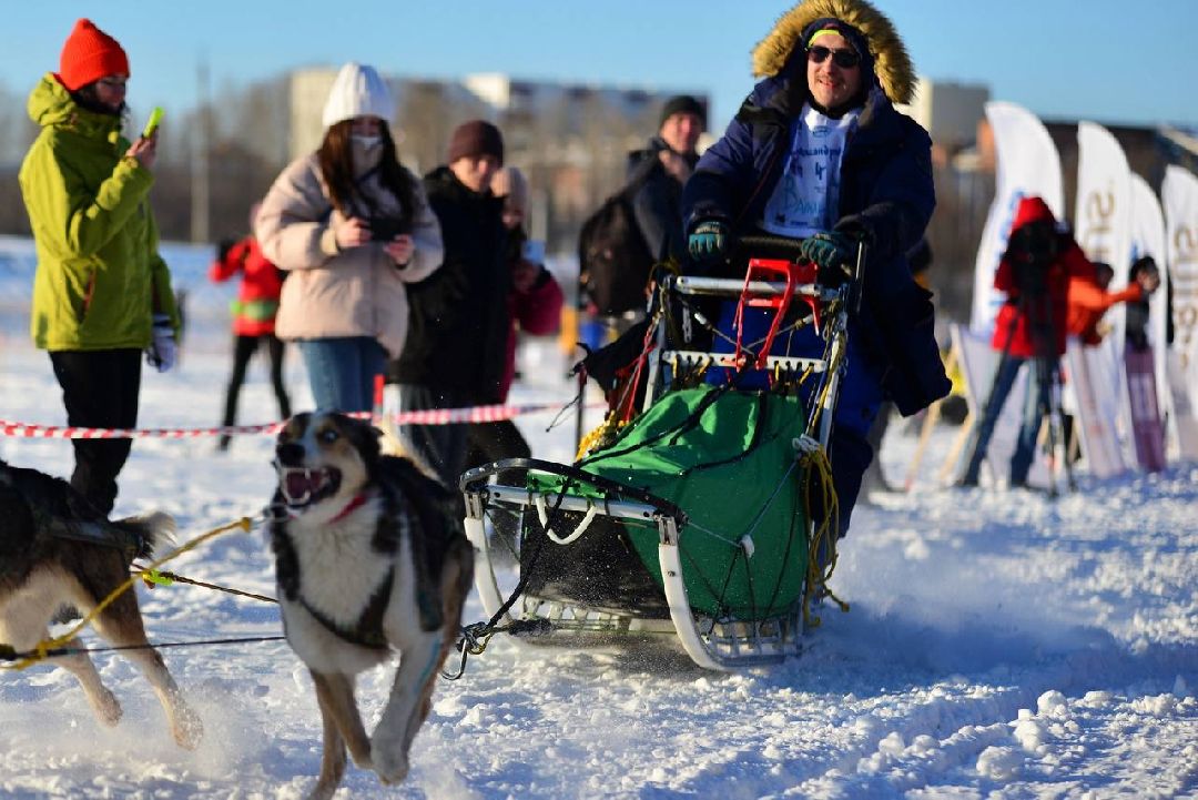 Подмосковье, Собаки, ГонкиНаСобачьихУпряжках, Можайск, Каюр, Байкал, БайкалРейс
