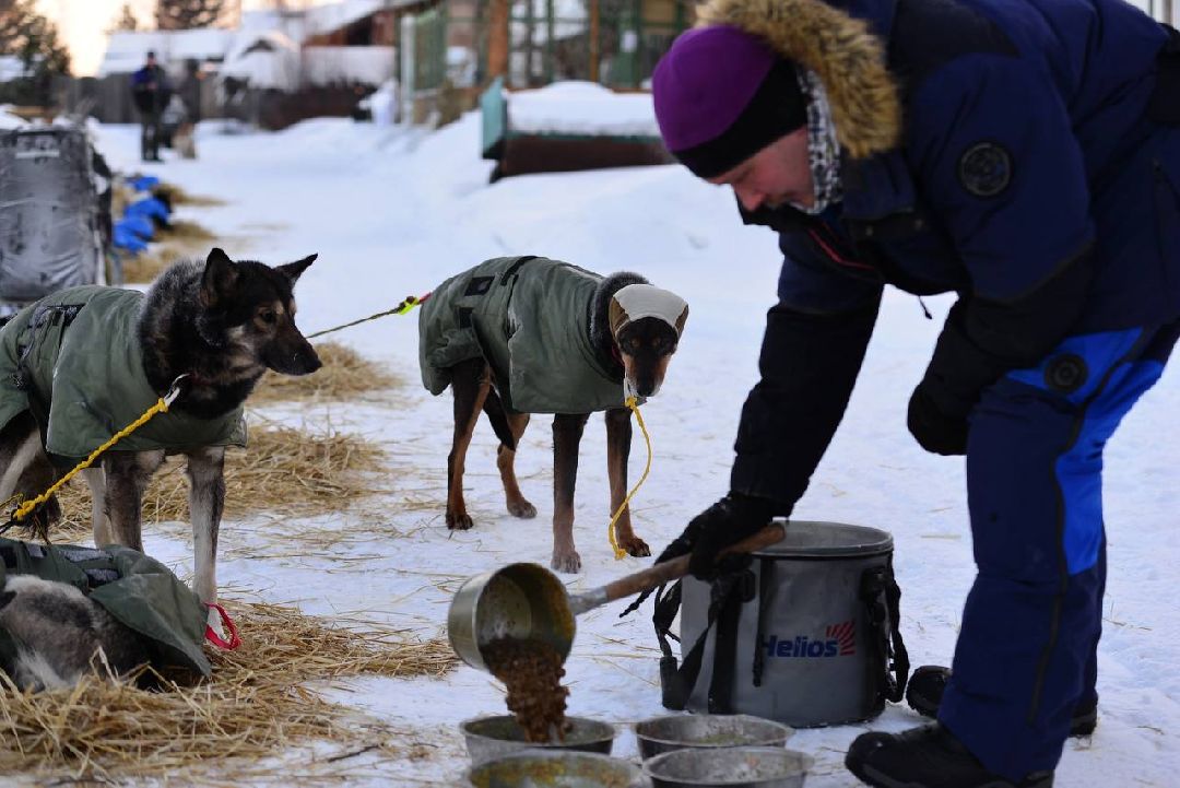 Подмосковье, Собаки, ГонкиНаСобачьихУпряжках, Можайск, Каюр, Байкал, БайкалРейс