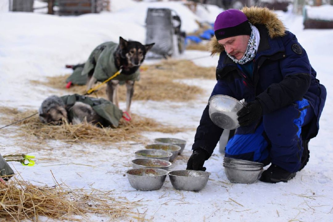 Подмосковье, Собаки, ГонкиНаСобачьихУпряжках, Можайск, Каюр, Байкал, БайкалРейс