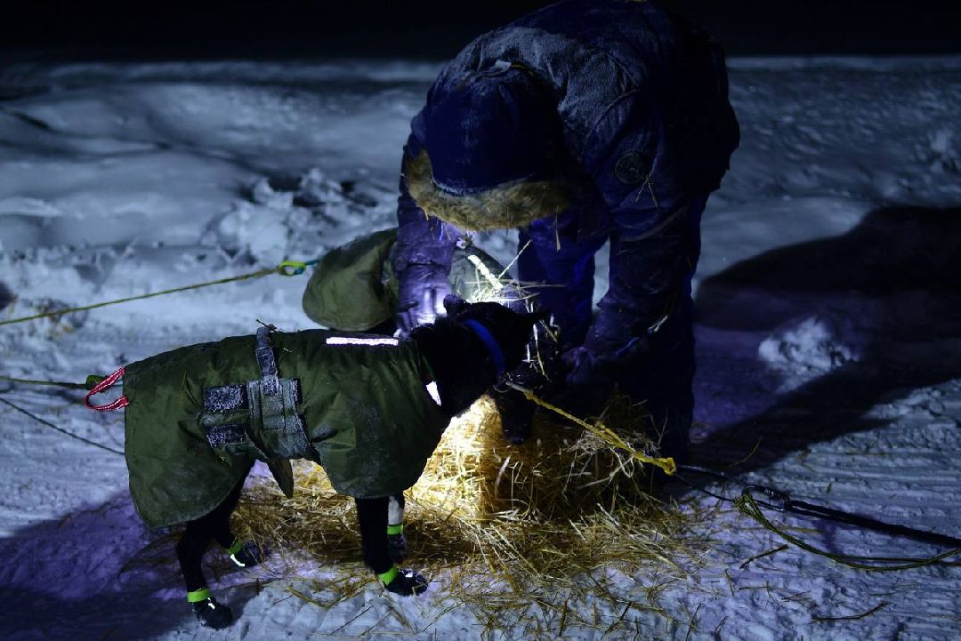Подмосковье, Собаки, ГонкиНаСобачьихУпряжках, Можайск, Каюр, Байкал, БайкалРейс