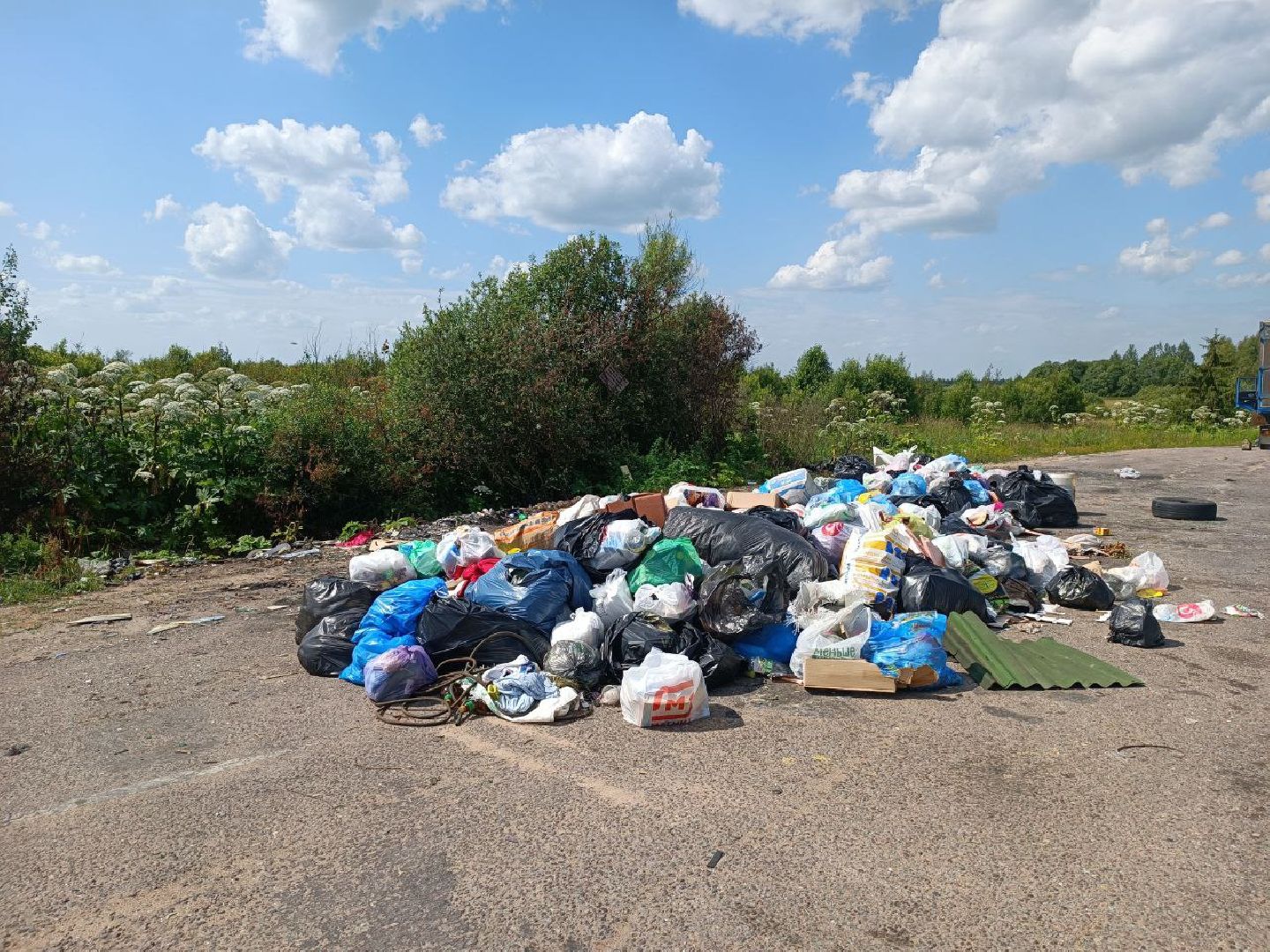 Можайск, Можайский городской округ, Подмосковье, мусор, контейнерные площадки, ЖКХ, проблема, мусорные навалы