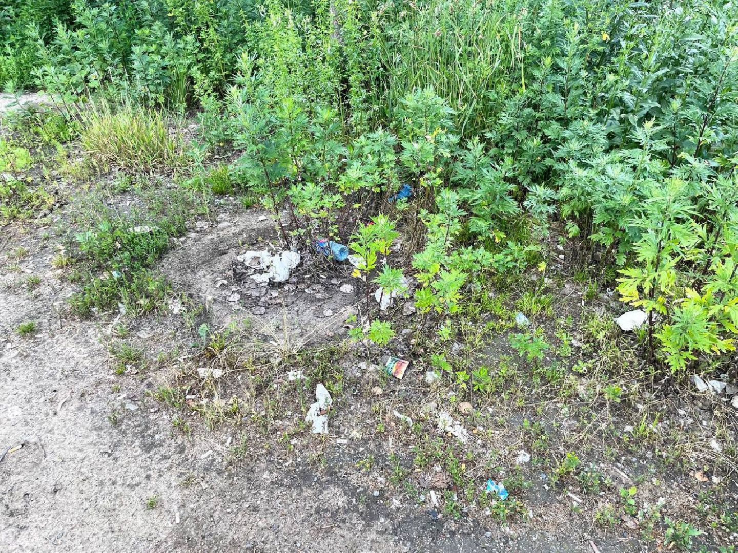 Сергиево-Посадский городской округ, Сергиев Посад, Мусор, Уборка дорог, Отходы, Штрафы, ГУСТ