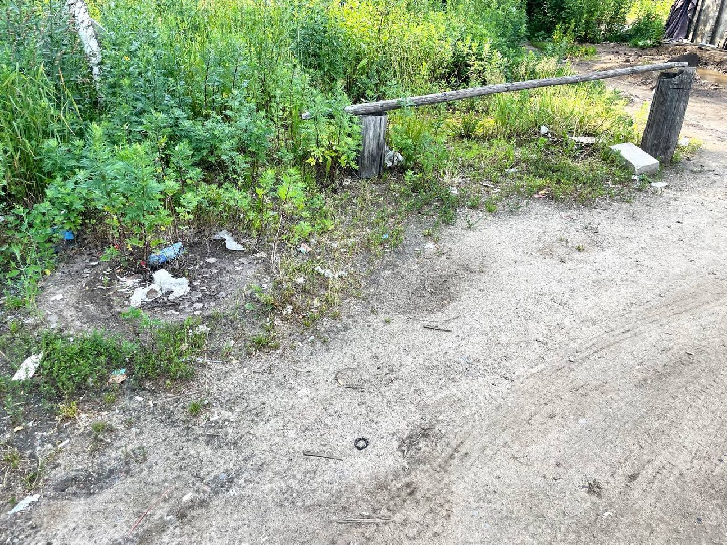 Сергиево-Посадский городской округ, Сергиев Посад, Мусор, Уборка дорог, Отходы, Штрафы, ГУСТ