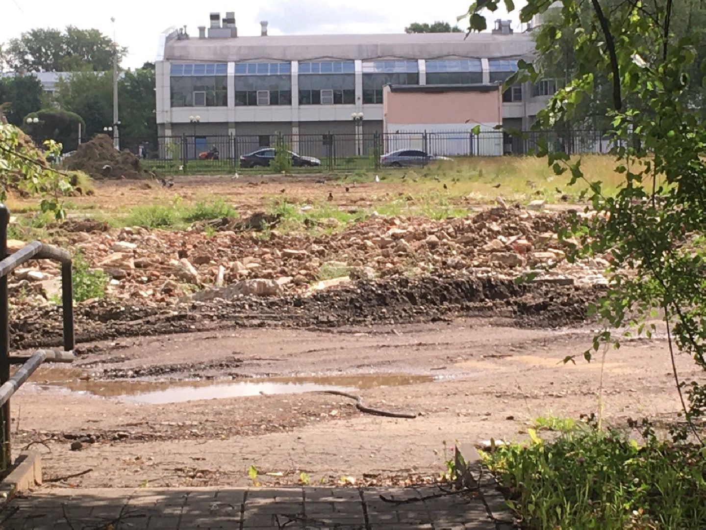 Подольск, Спорт