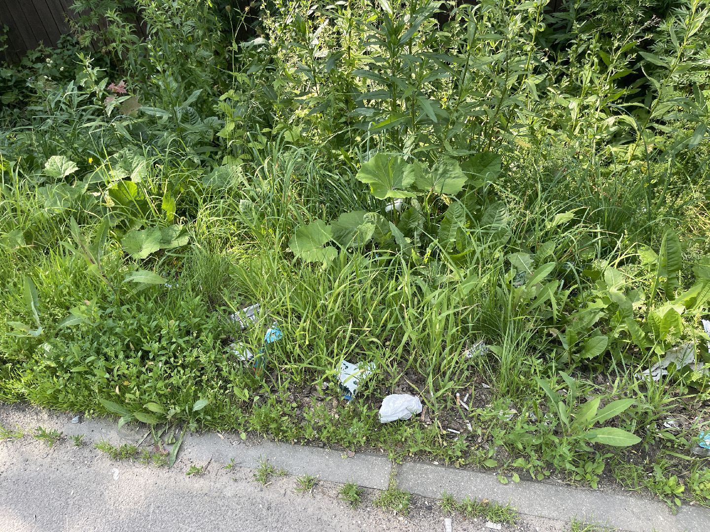 Одинцово, Лесной городок, благоустройство, коммунальные службы, мусор,