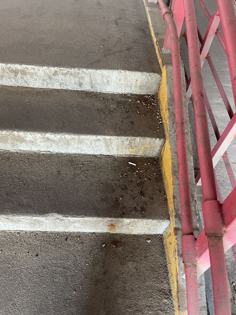 Одинцово, Лесной городок, благоустройство, коммунальные службы, мусор,