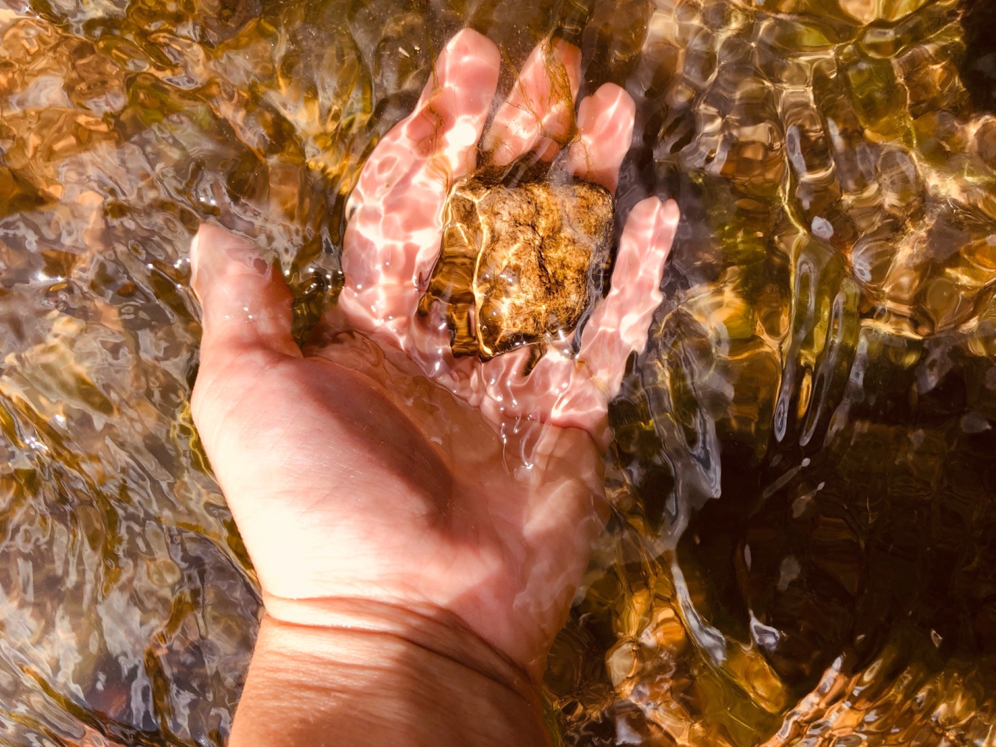 Домодедово, экскурсия, поиск окаменелостей, поиск моллюсков, река, берег реки