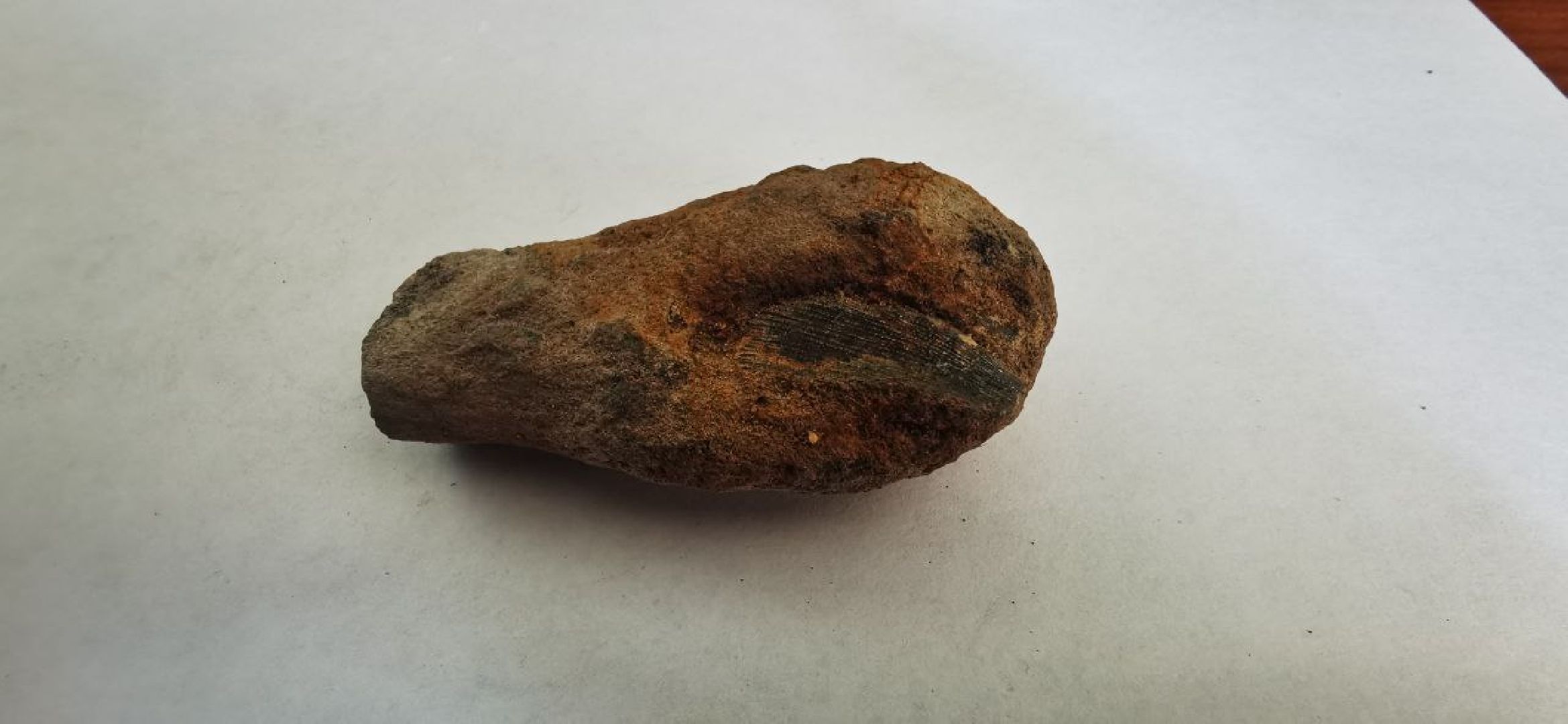 Домодедово, экскурсия, поиск окаменелостей, поиск моллюсков, река, берег реки