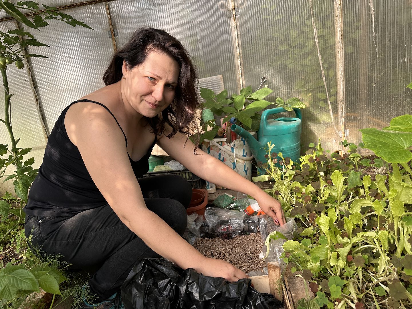 Одинцово, Общество, Экология, Лето, Грибы