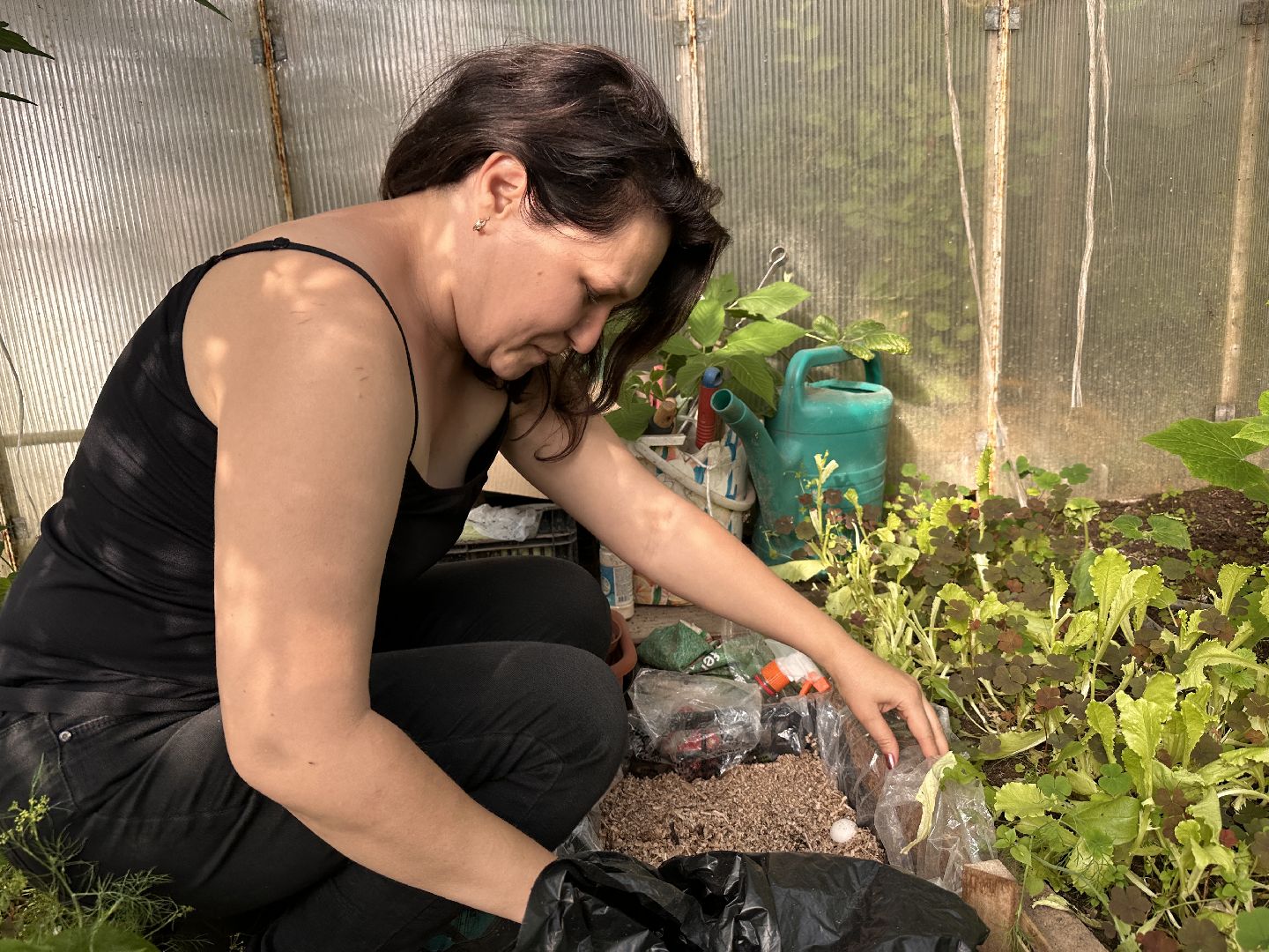 Одинцово, Общество, Экология, Лето, Грибы