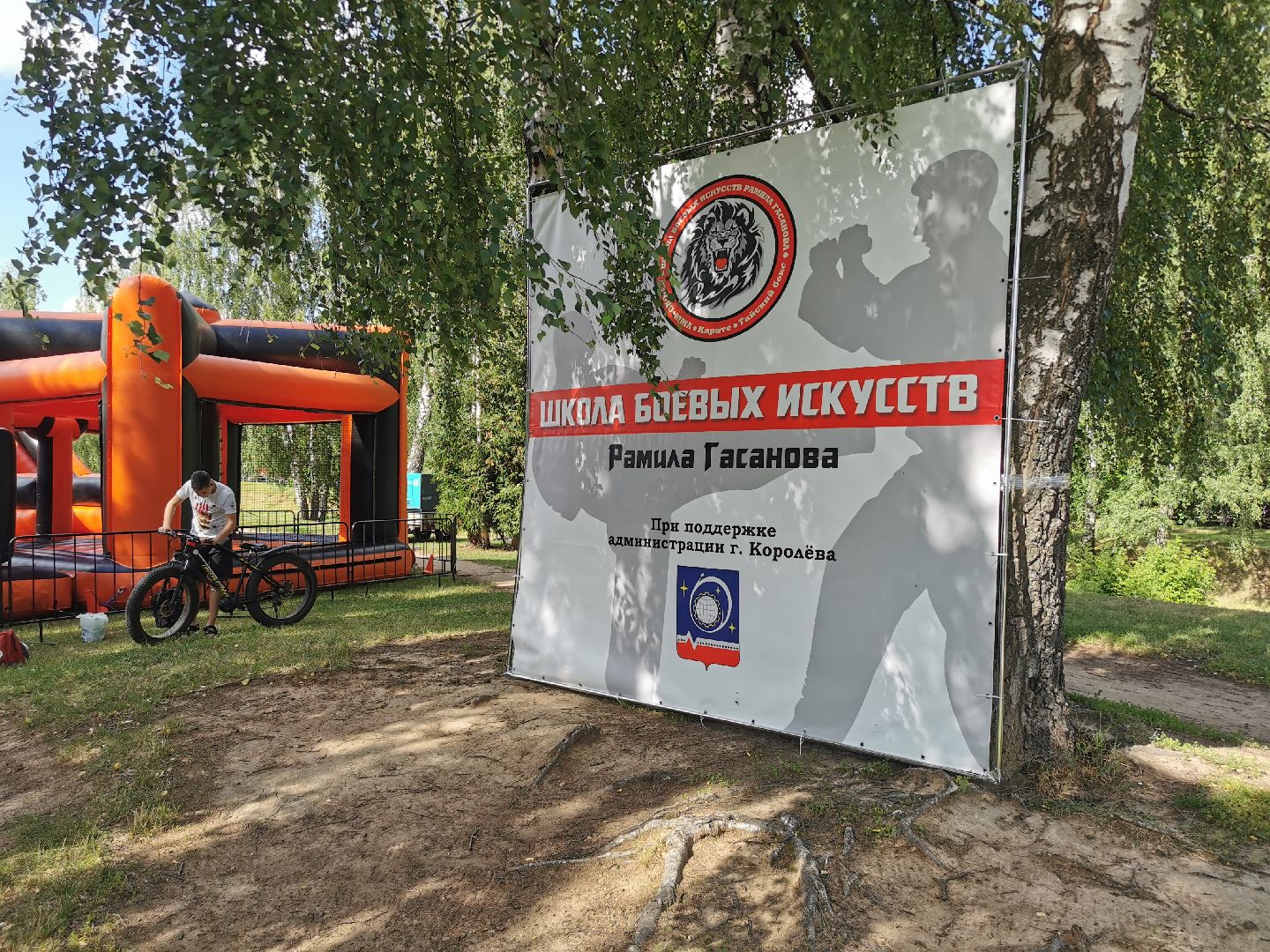 спорт, единоборства,