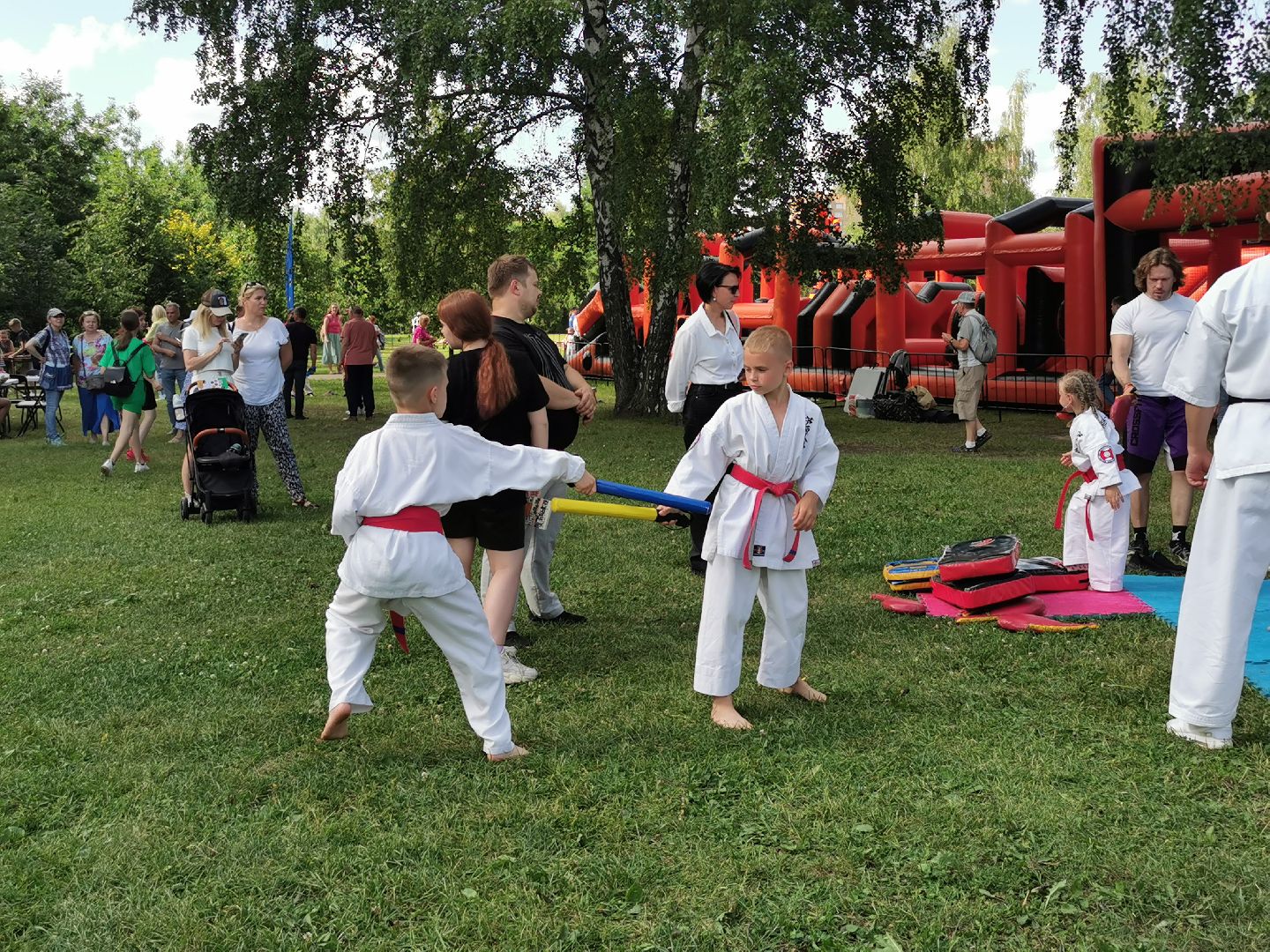 спорт, единоборства,