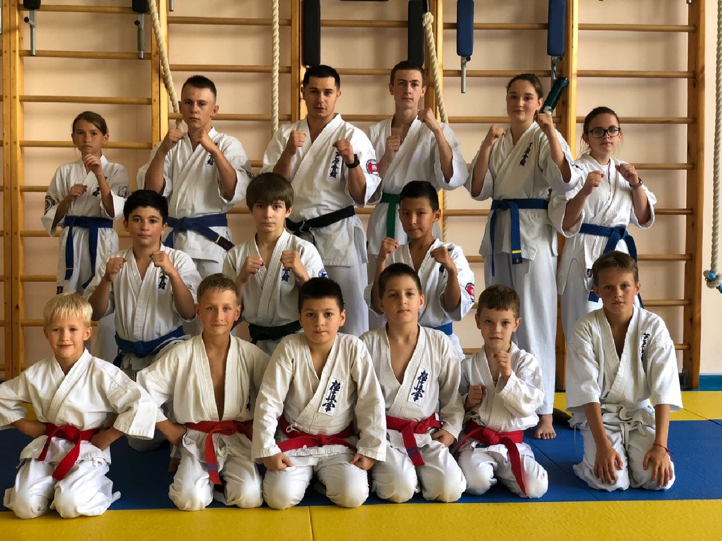 спорт, единоборства, чемпионы,