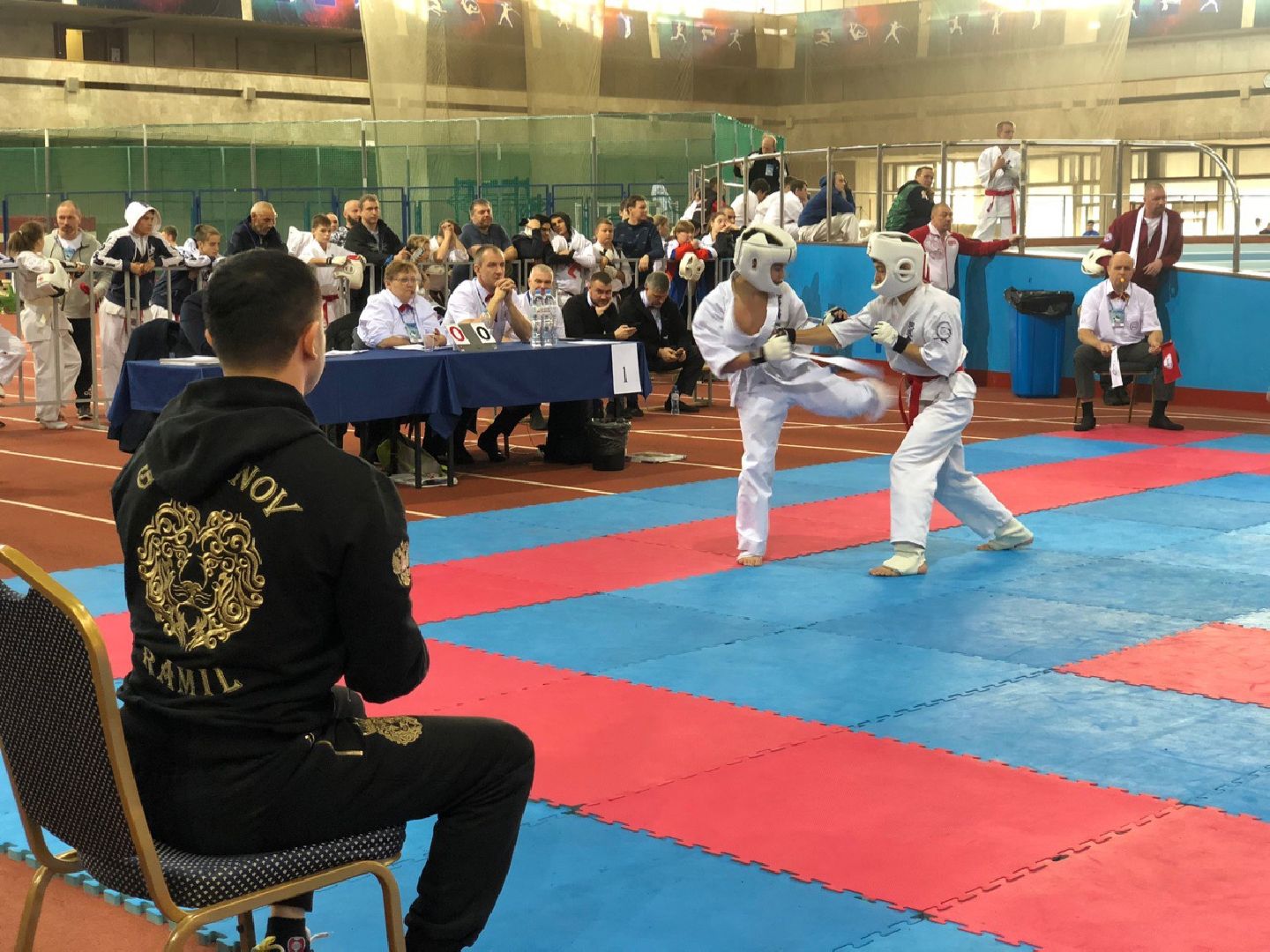 спорт, единоборства, чемпионы,