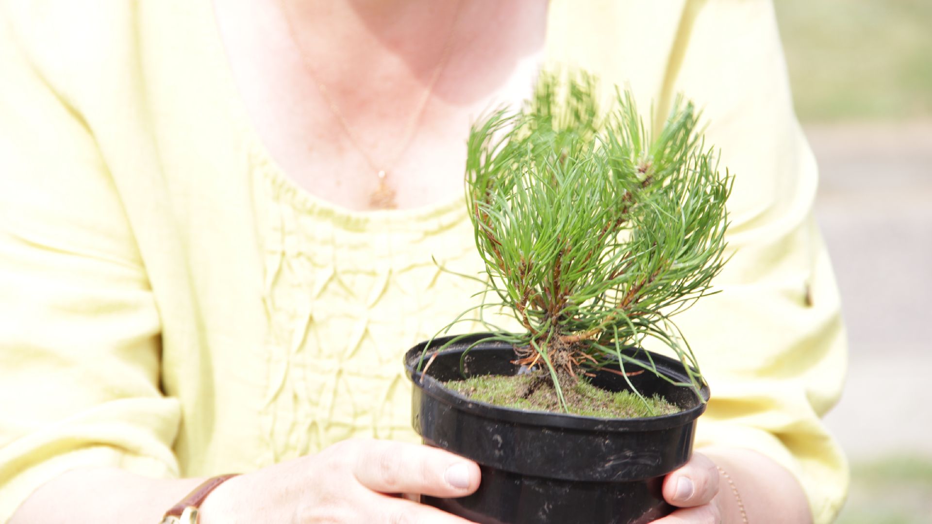 #Рошаль#БольшаяШатура#побратимы#Беларусь