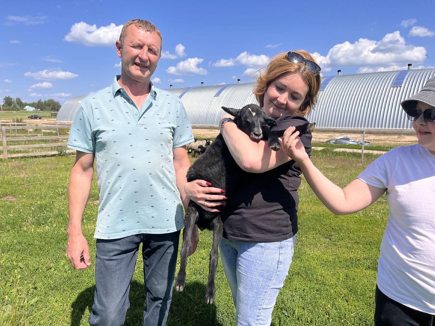 Шаховская, овцы, кфх, ферма