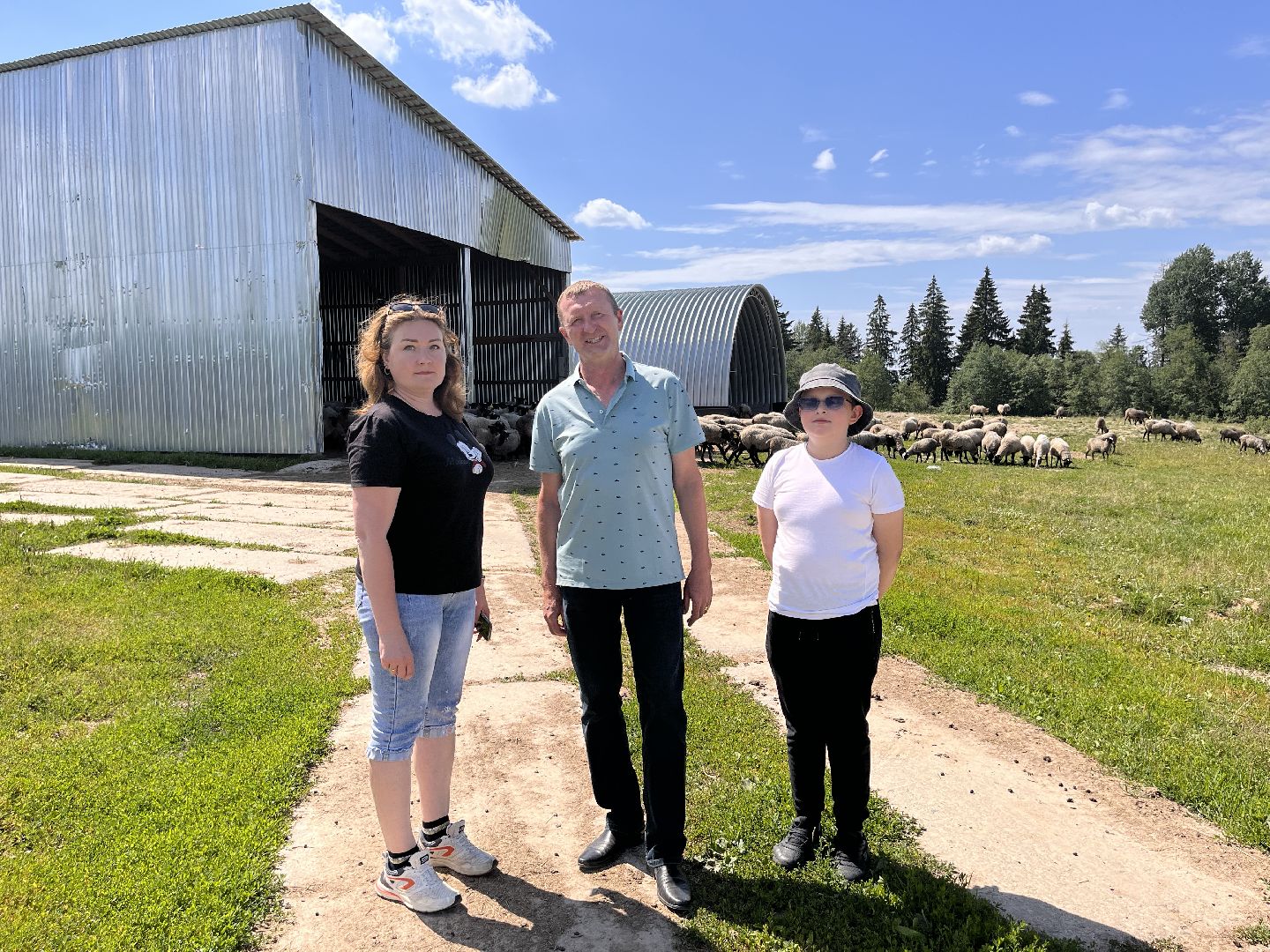 Шаховская, овцы, кфх, ферма