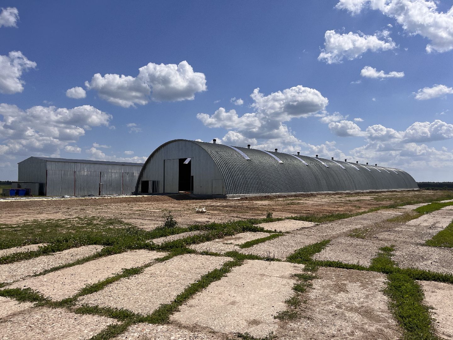 Шаховская, овцы, кфх, ферма