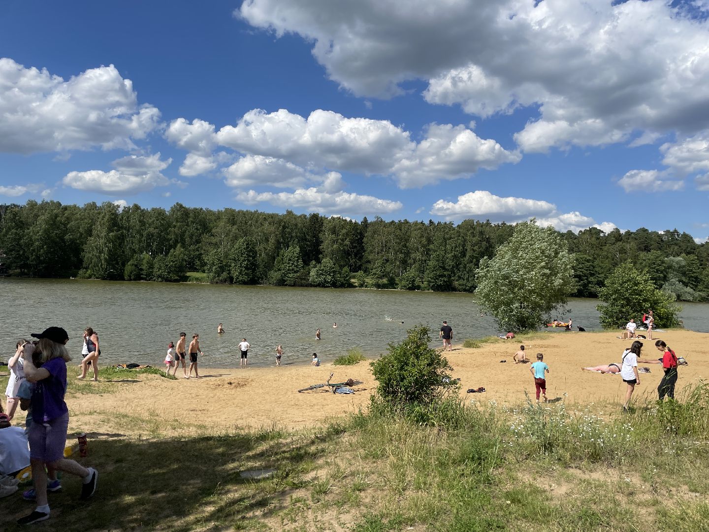 Экология, черепахи, озера, очистка