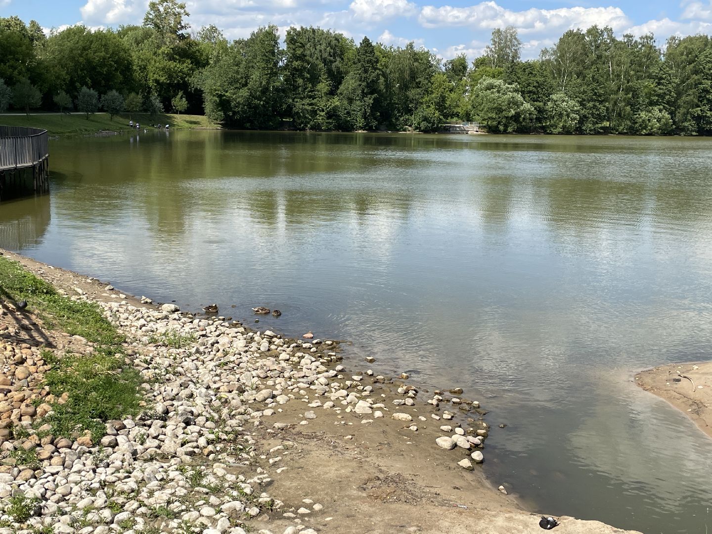 Экология, черепахи, озера, очистка