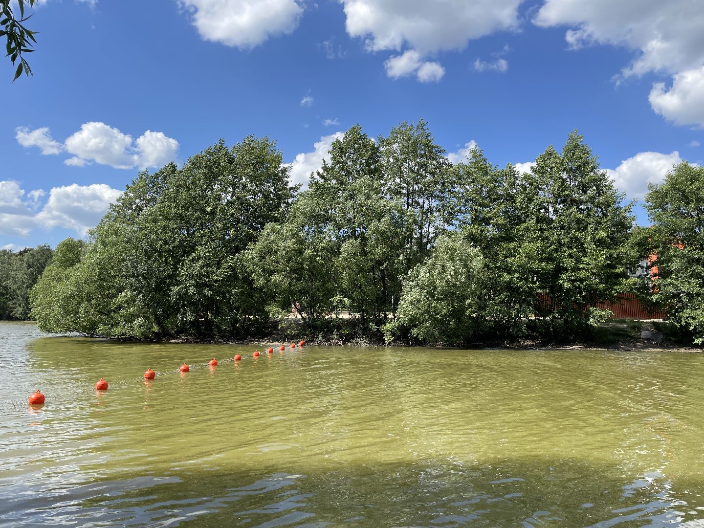 Экология, черепахи, озера, очистка