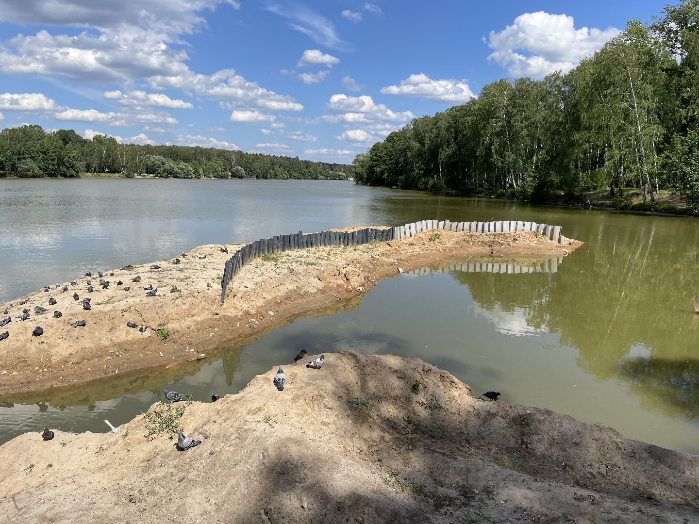 Экология, черепахи, озера, очистка