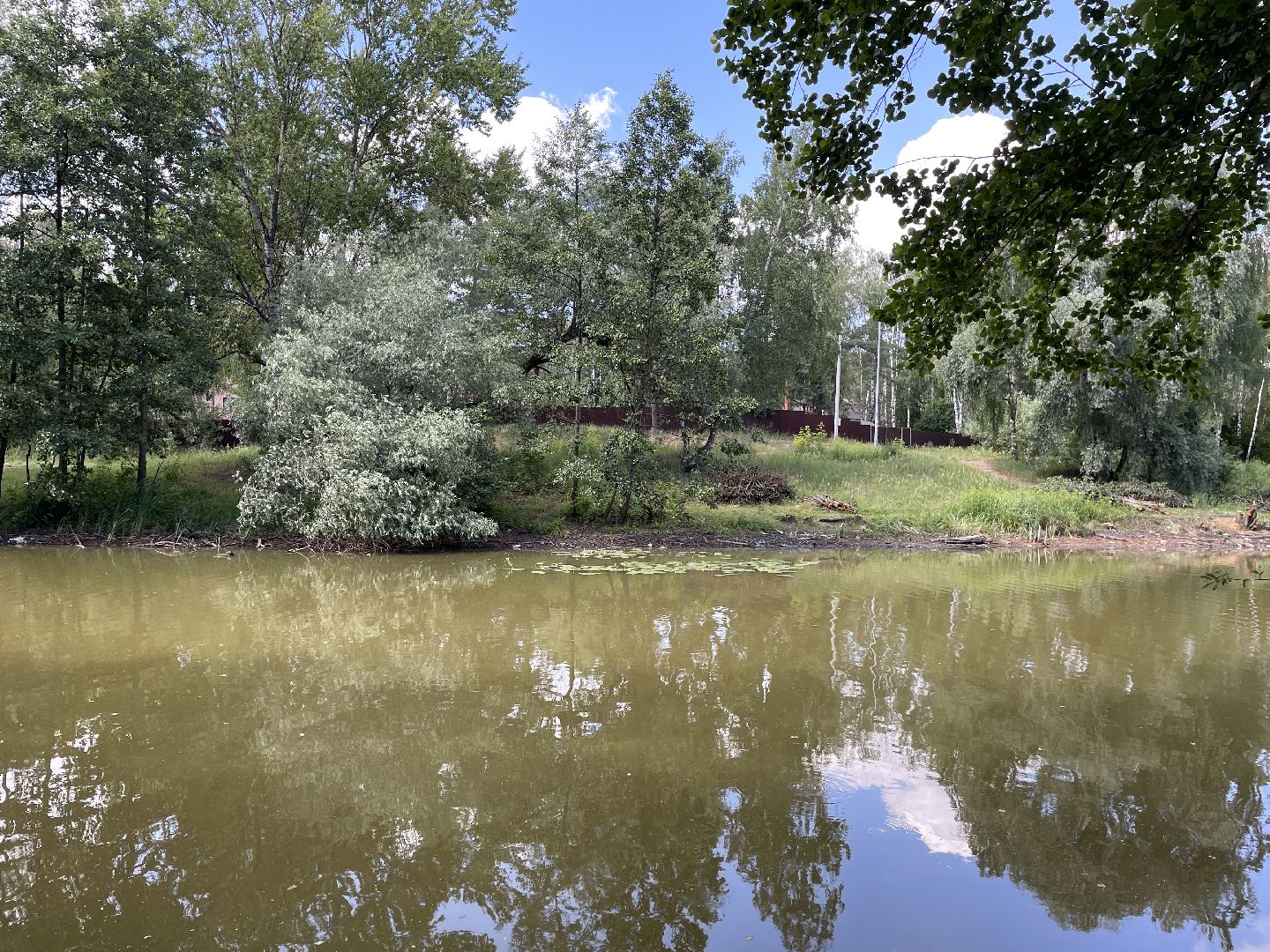 Экология, черепахи, озера, очистка