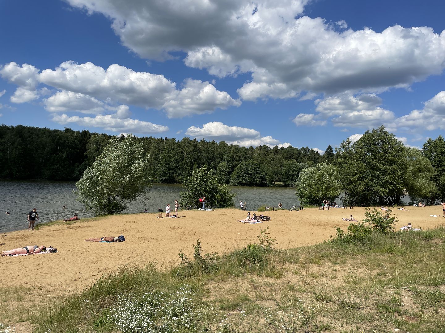 Экология, черепахи, озера, очистка