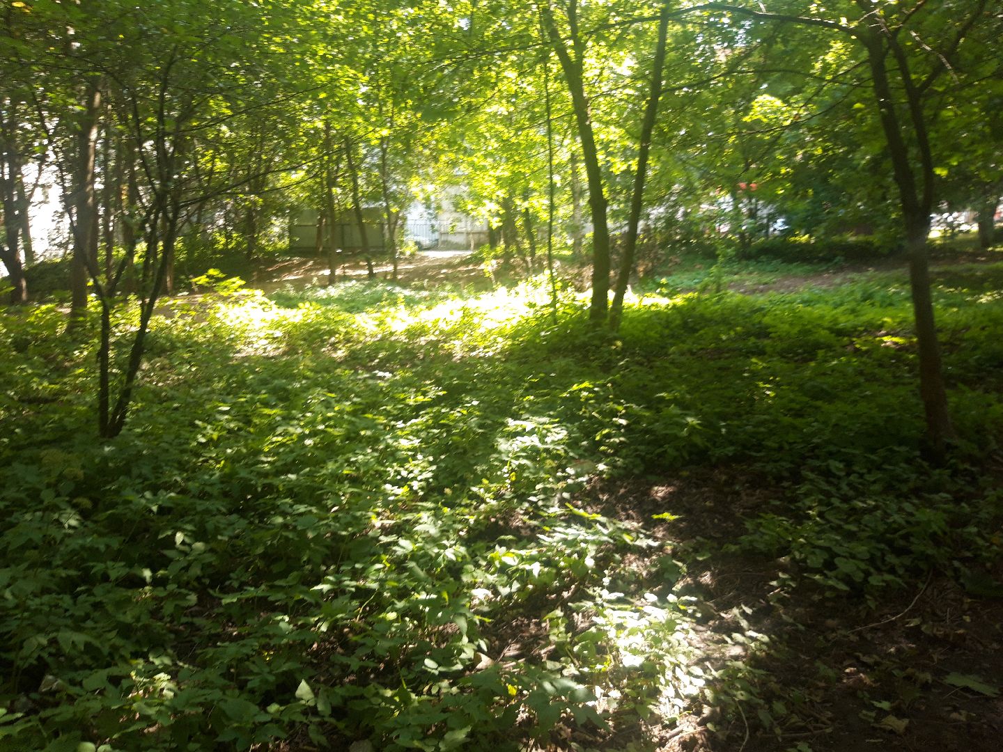 доброе дело, выходи во двор, двор,