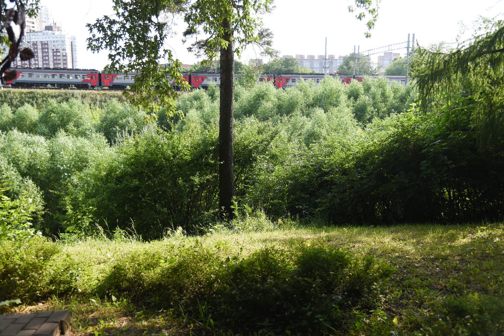 Химки, пожар, безопасность