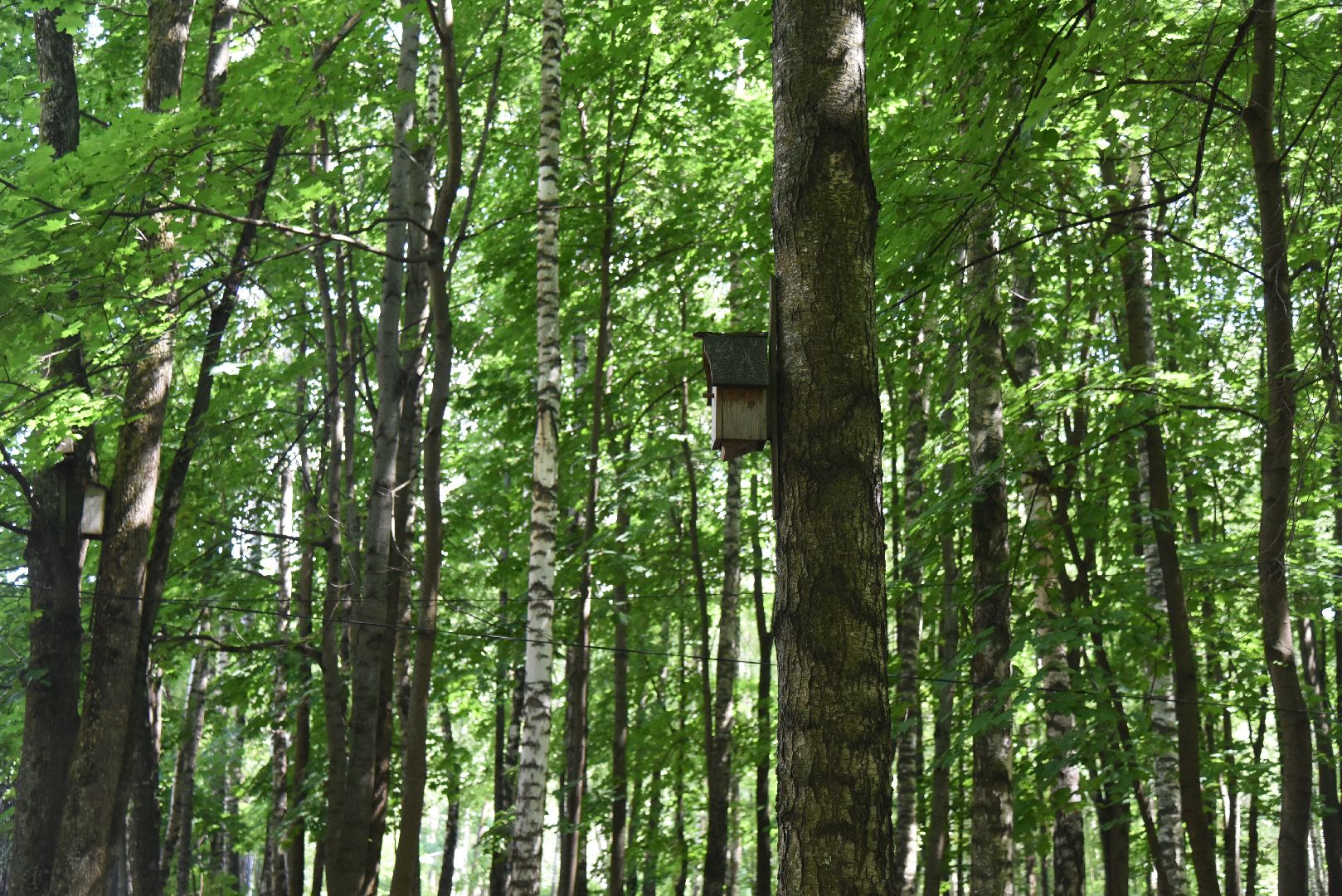 Химки, пожар, безопасность