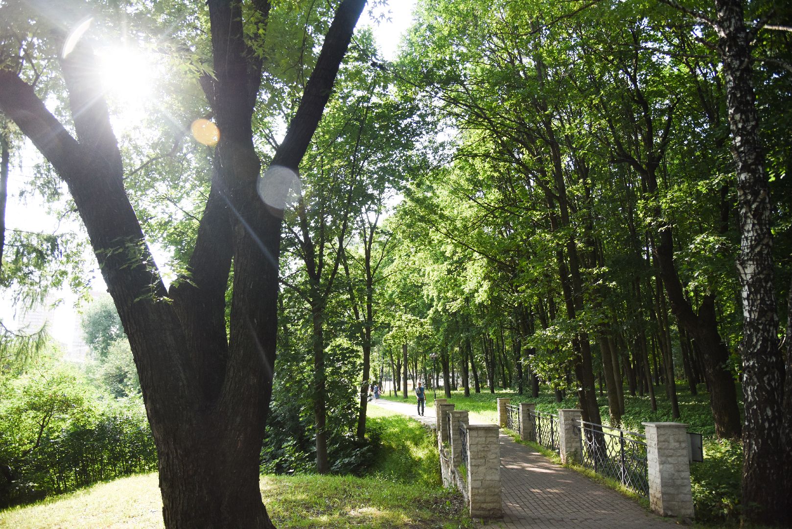 Химки, пожар, безопасность