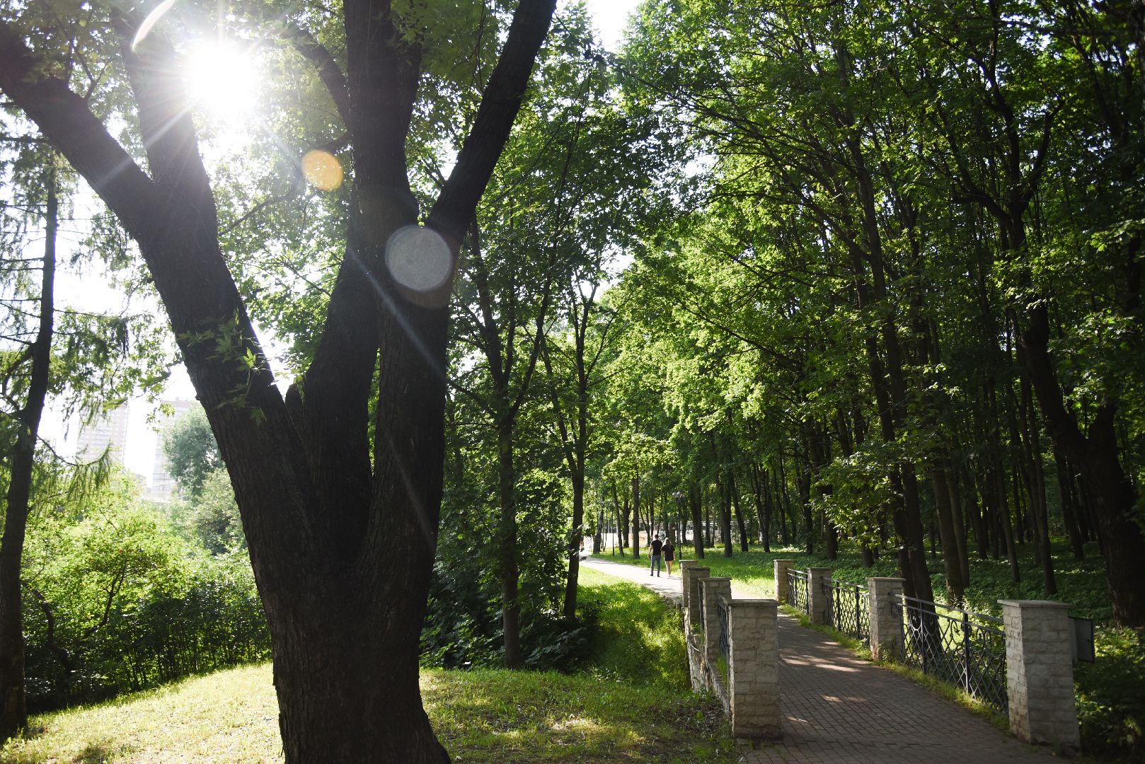 Химки, пожар, безопасность